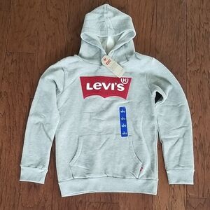 Levi's Gray Hoodie for Boys